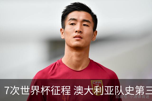 7次世界杯征程 澳大利亚队史第三次小组赛出线